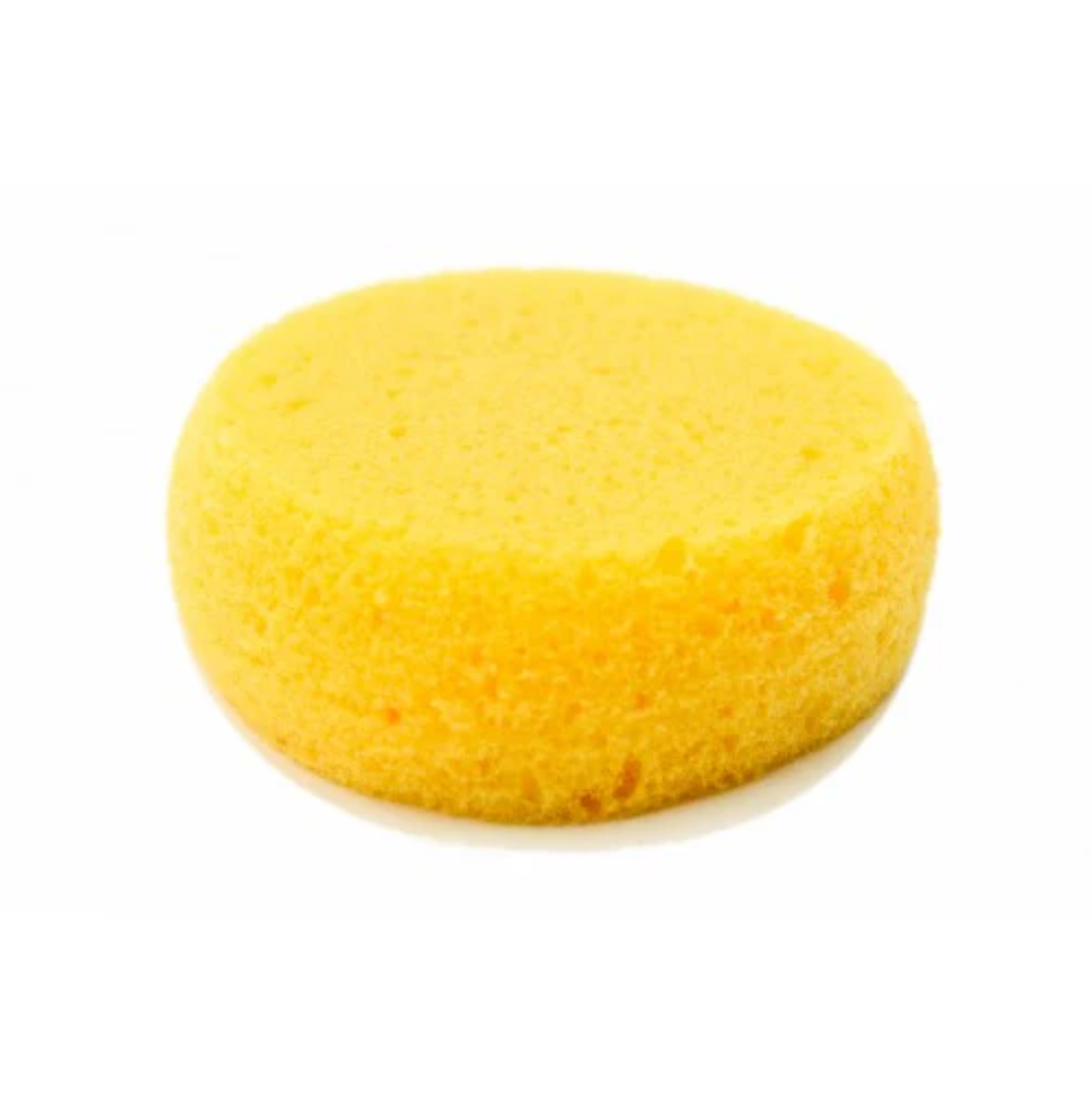 Yellow Sponge