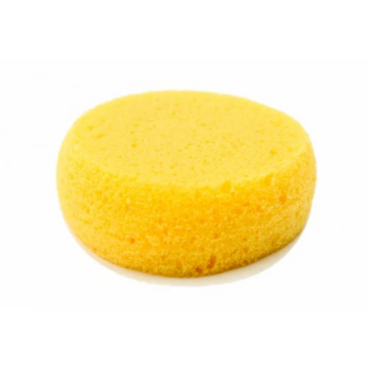 Yellow Sponge